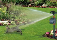 Un chat fuyant le jet d'eau d'un arroseur automatique dans un jardin