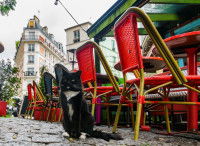 Un chat assis devant une terrasse de café à Paris