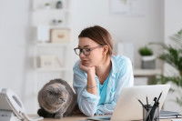 Une maitresse regardant son gros chat gris