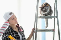 Un chat perché sur une escabelle