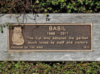 Pierre tombale d'un chat nommé Basil