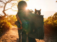 Une femme marchant au coucher de soleil avec son chat dans son sac à dos