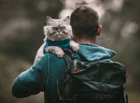 un randonneur portant son chat contre son épaule