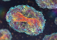 Illustration 3D d'un virus zoonotique