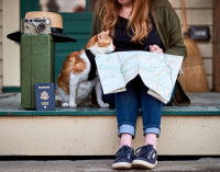 Une femme étudiant une carte à côté de son chat et de sa valise