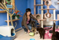 Une femme travaille dans un hôtel pour chats