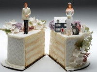 Le chien ou le chat dans le régime de la communauté universelle