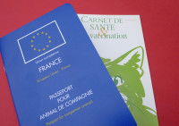 Un passeport et un carnet de vaccination pour chat