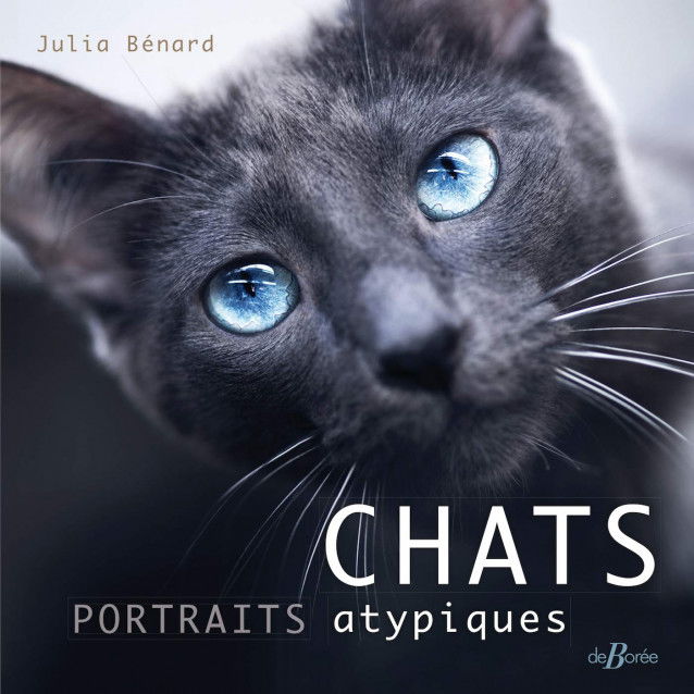 Chats : Portraits atypiques de Julia Bénard