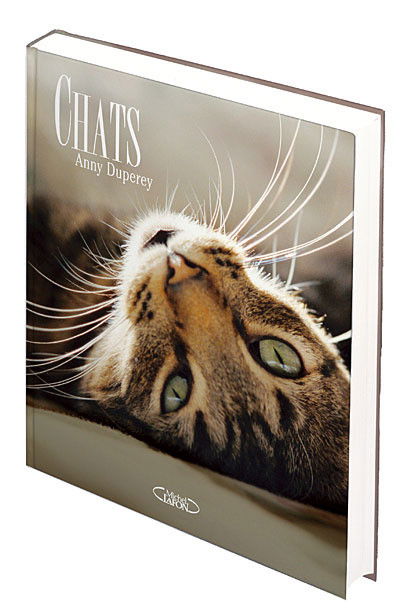 Chats d'Anny Duperey
