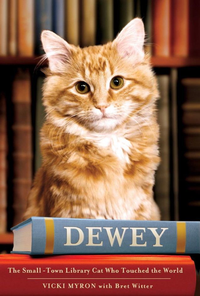 Dewey de Vicki Myron