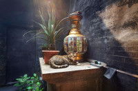 Un chat allongé sur un muret à l'intérieur du temple Lin Kai, à Macao (Chine)