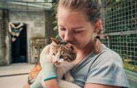 Une personne bénévole tenant dans ses bras un chat sans abri