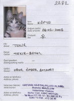 Les informations figurant dans le passeport du chien ou chat