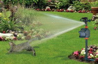 Un jet d’eau répulsif arrosant un chat