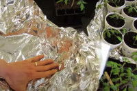 Une personne en train de placer des feuilles d'aluminium autour de pots de plantes