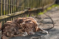 Ce que signifie la loi du 16 février 2015