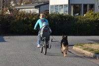 S'habituer à faire du vélo avec son chien qui court à côté