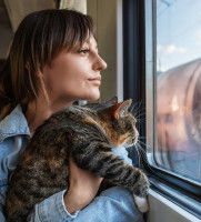 Un chat qui regarde par la fenêtre d'un train en étant dans les bras de sa propriétaire