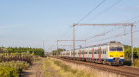 Un train SNCB qui circule dans une zone campagnarde