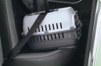 Une cage de transport pour chats installée sur la banquette arrière d'une voiture et attachée avec une ceinture