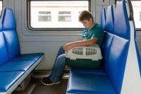 Un adolescent assis dans un train avec une cage de transport pour chats sur le siège à côté de lui