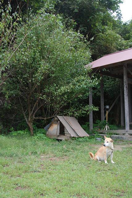 Photo Shikoku Ken