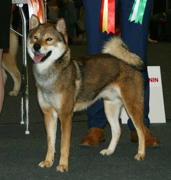 Photo Shikoku Ken