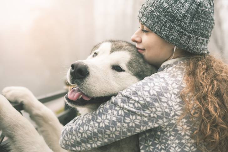 Un Malamute d'Alaska enlacé par sa propriétaire