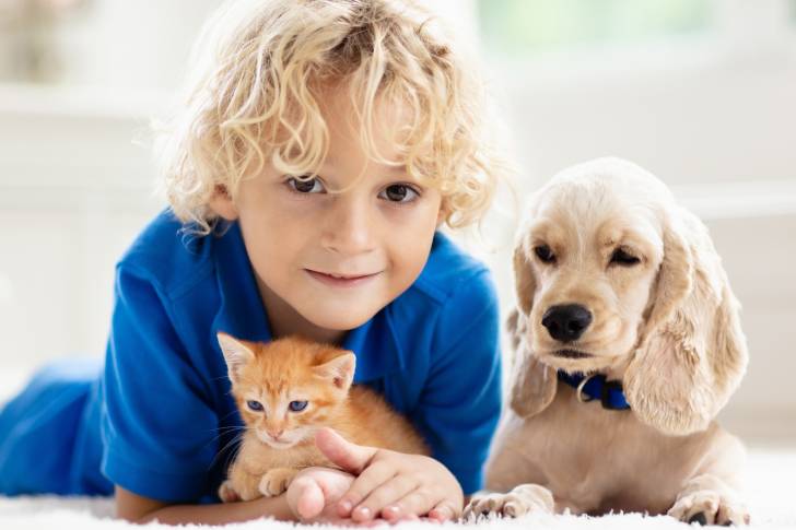 Un Cocker Américain allongé à côté d'un petit garçon avec un chaton