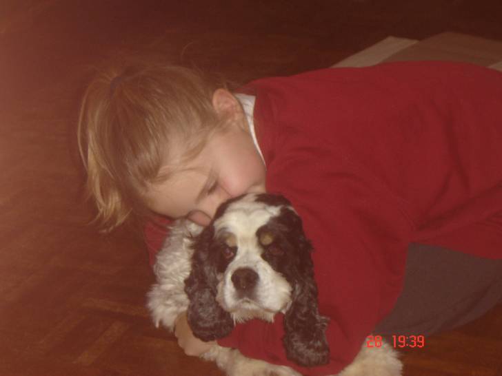 Lizzie xxxx - Cocker Américain (3 ans)