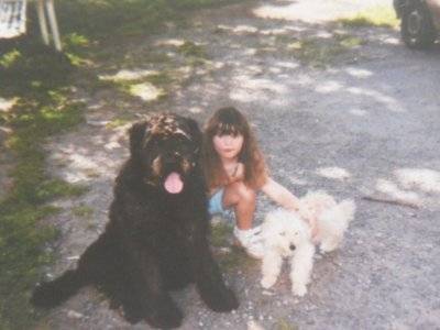 rubis moi sissis - Bouvier des Flandres Mâle