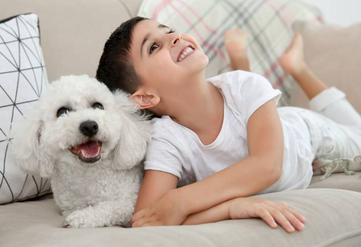 Photo Bichon Frisé