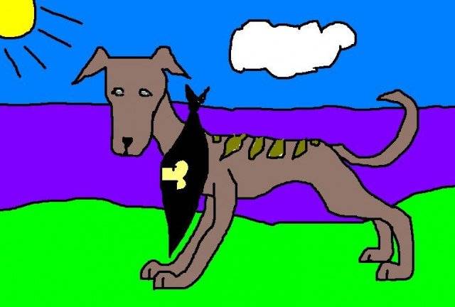 Whippet pup - Whippet Mâle (10 mois)