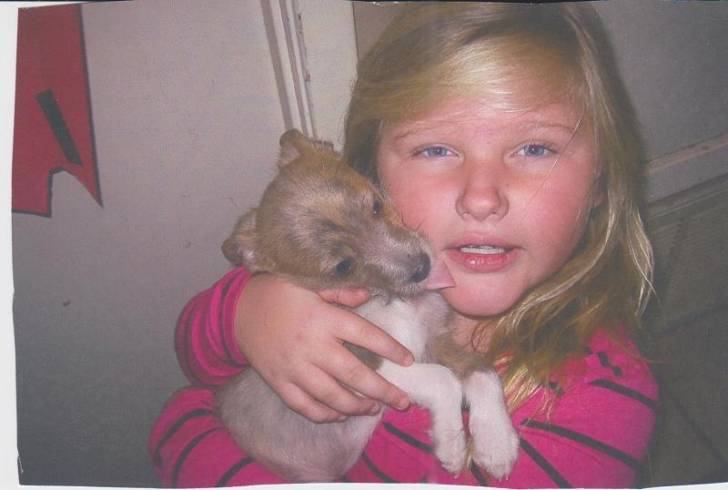 freackles - Bouvier Australien Mâle (8 mois)