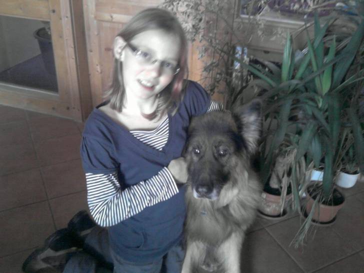 Arco - Berger Allemand Mâle (14 ans)