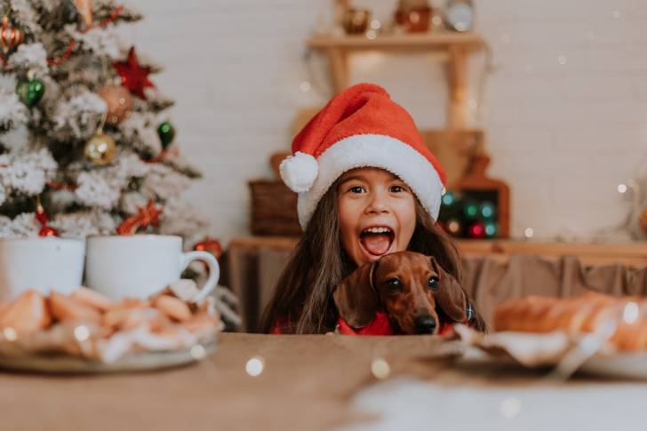 Un Teckel dans les bras d'une petite fille à Noel 