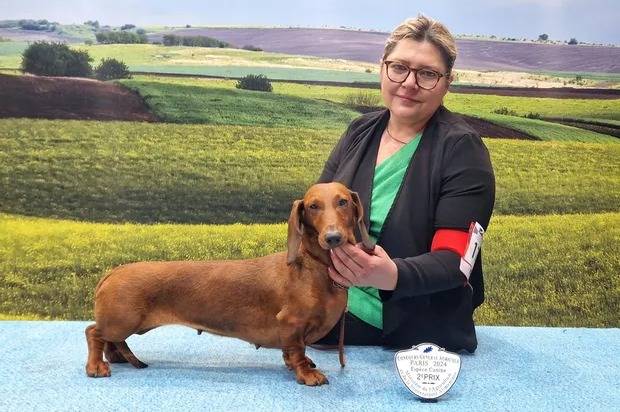 Photo montrant une femme exposant un Teckel