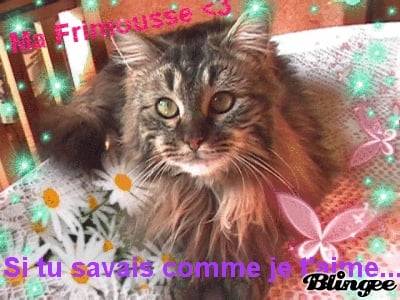 Frimousse - (4 ans)