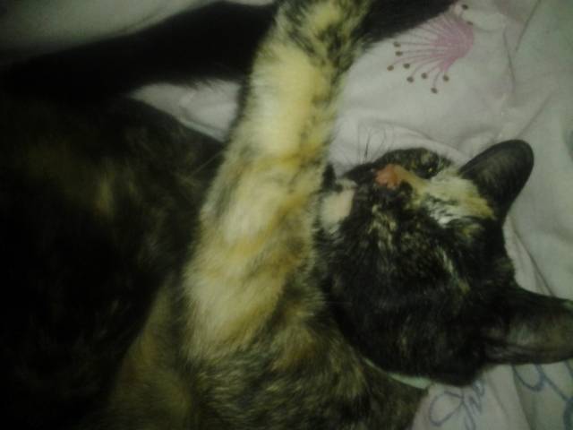 Fiona - (10 mois)