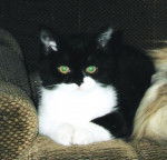 EUROPEEN TINA NOIR/BLANC - Européen