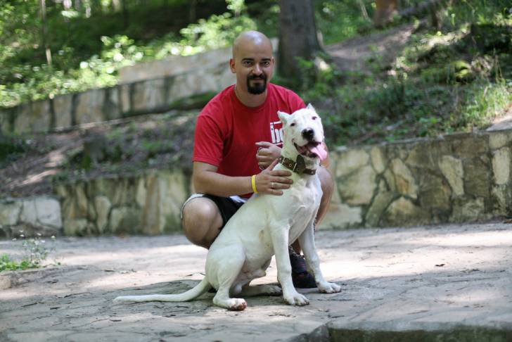 Un Dogue Argentin assis près de son propriétaire 