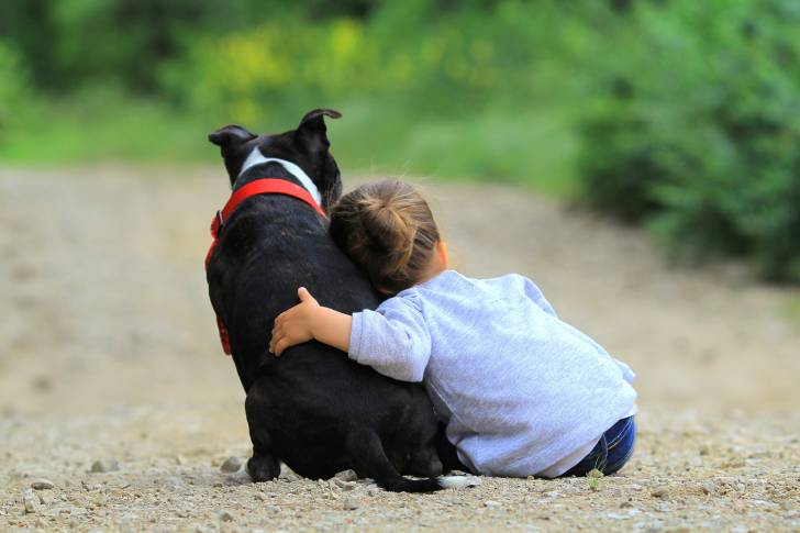 Un Staffie assis à côté d'une petite fille