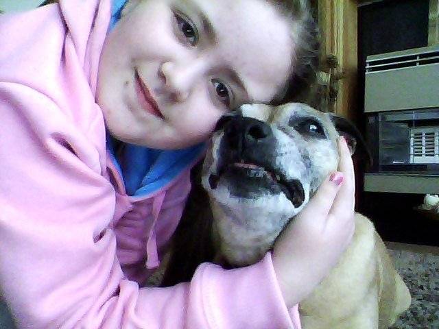 tara - Staffordshire Bull Terrier (13 ans)