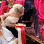 Névada coupe - Sibérien