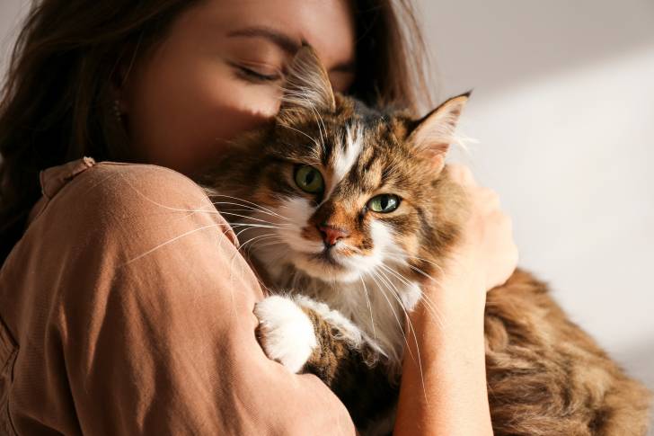 Une femme fait un gros câlin à son chat Sibérien
