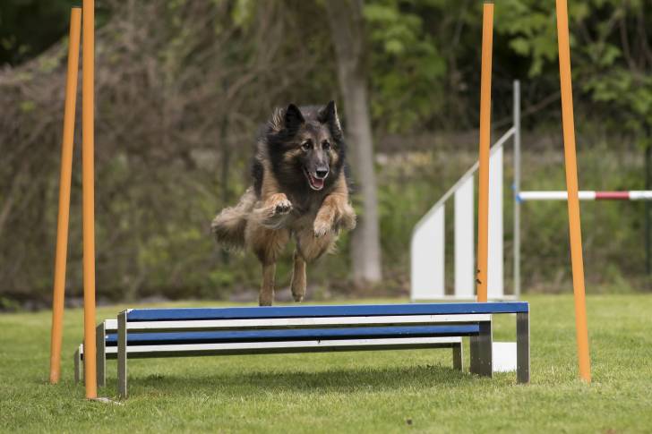 Photo Berger Belge Tervueren