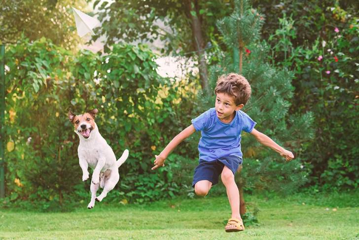 Un Jack Russell semblant bien s'amuser à côté d'un petit garçcon