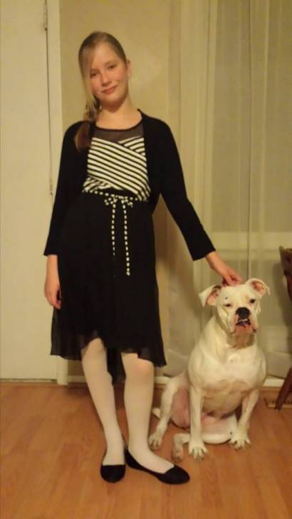 Lambchop - Bouledogue Américain (4 ans)