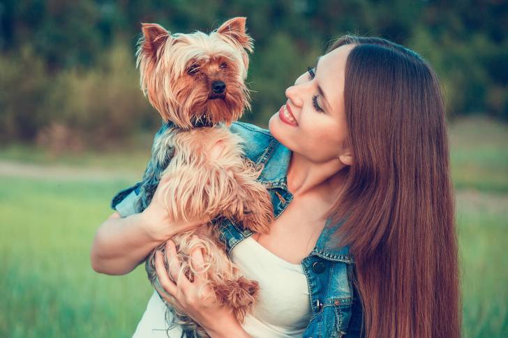 Un Yorkshire Terrier dans les bras de sa propriétaire